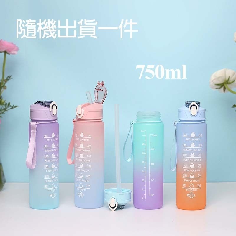 運動水樽附吸管 漸變色水壺 戶外磨砂 750ml(多色)